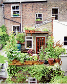 Why grow your own food locally?
