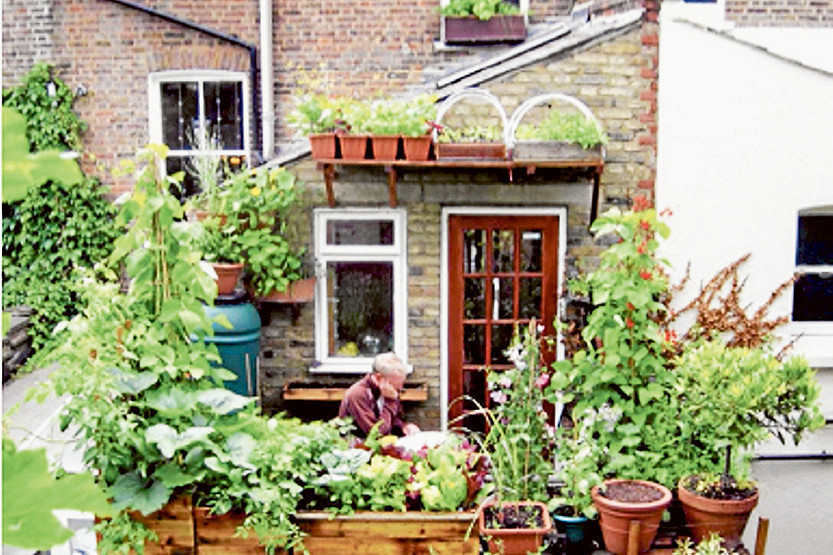 Why grow your own food locally?
