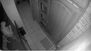 Mailbox thief caught on camera