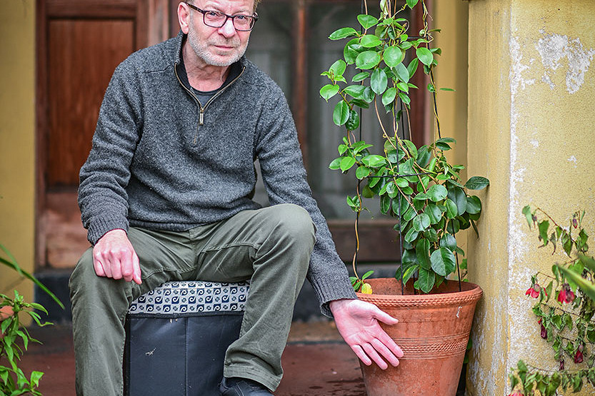 Green-fingered thieves take off with pot plants in Kensington