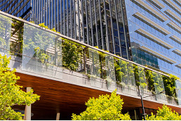 Council proposes bold action to green city buildings