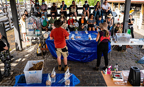13_Kensington-Stockyard-1.jpg