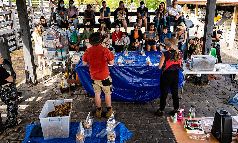 13_Kensington-Stockyard-1.jpg