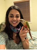 Cheeky parrot returns home thanks to a heartfelt community effort