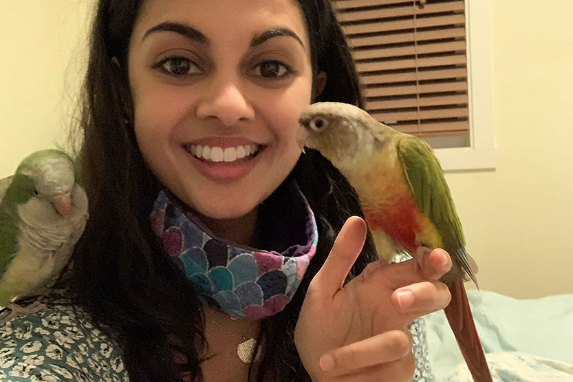 Cheeky parrot returns home thanks to a heartfelt community effort