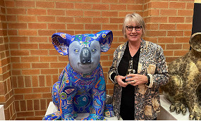 Haileybury’s student koala project becomes a beacon of hope