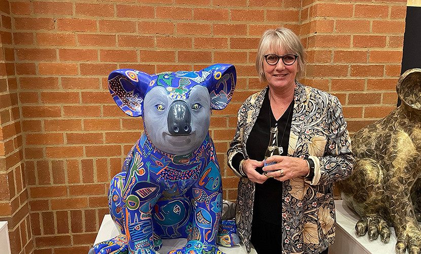 Haileybury’s student koala project becomes a beacon of hope