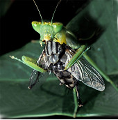 16_Column-Nature7.jpg