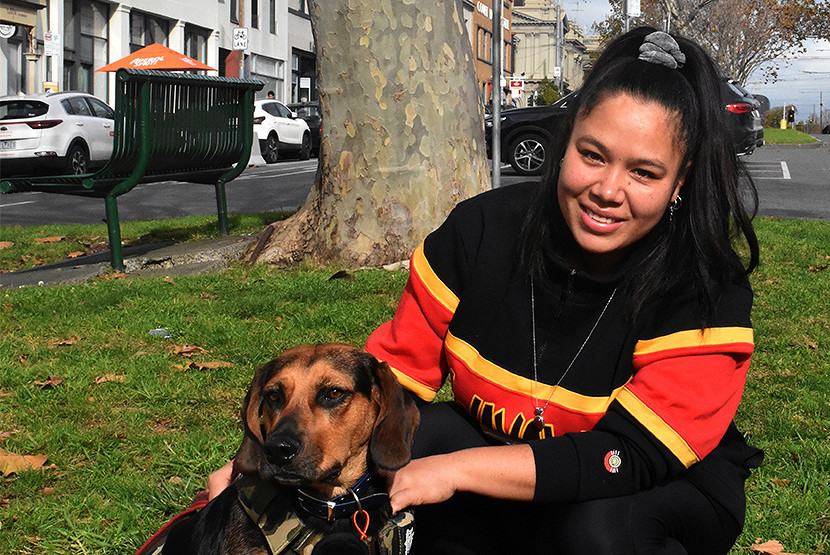 Community bands together to help bring little Theo home after he was struck by a car