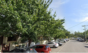 Council seeks feedback on Albermarle St trees