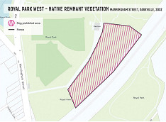 Dog ban to protect sensitive vegetation at Royal Park