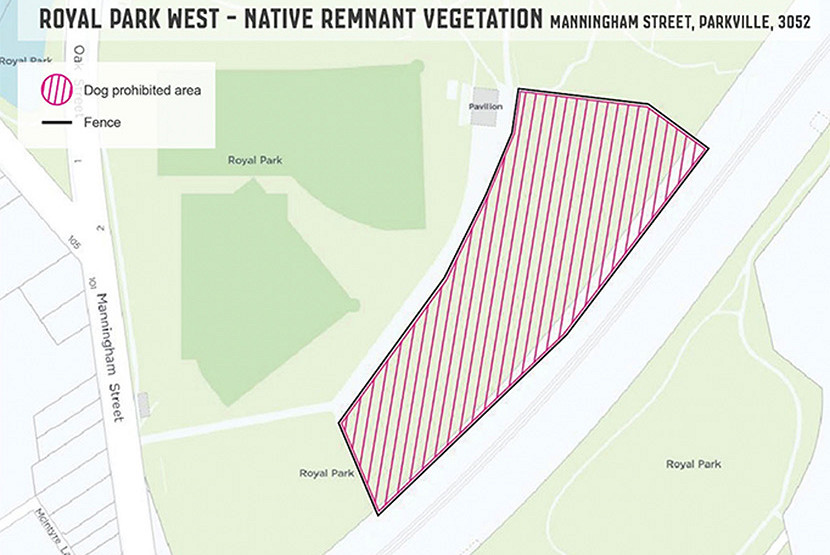 Dog ban to protect sensitive vegetation at Royal Park