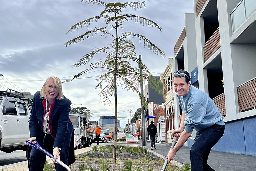 Provost St planting program underway