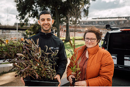 Plant giveaway for residents impacted by West Gate Tunnel works