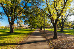 Autumn arrives in Parkville Gardens