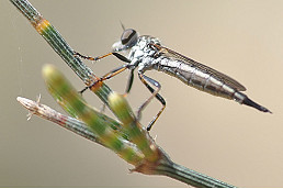 24-Nature-2.jpg
