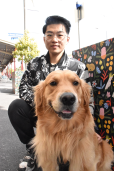 North Melbourne’s local lap dog