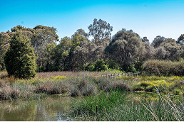 Events season in Parkville Gardens