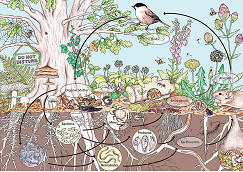 Permaculture: one of Australia’s noblest exports