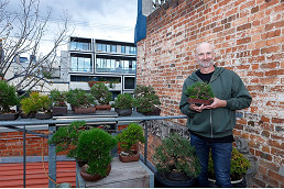 Bonsai master claims world title