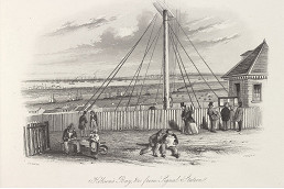History of Flagstaff Gardens told