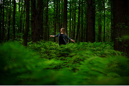 Forest therapy