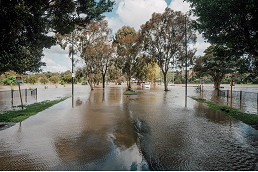 Government responds to flood inquiry
