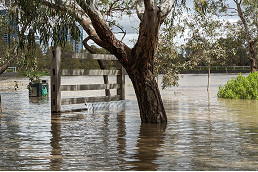 Melbourne Water commences new phase of flood mitigation study