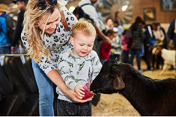 Royal Melbourne Show returns with animals, attractions, and family fun