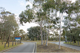 Council moves ahead with Royal Park Master Plan