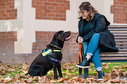 Vision Australia seeks local volunteers for Seeing Eye Dogs program