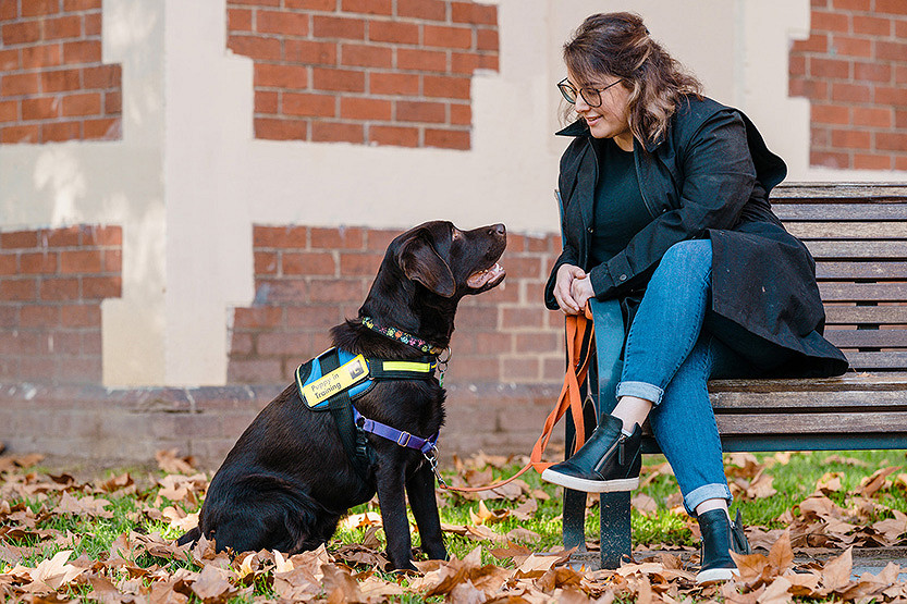 Vision Australia seeks local volunteers for Seeing Eye Dogs program