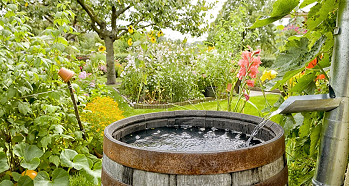 Harvesting rainwater in the city