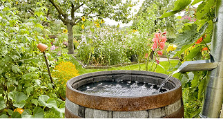 Harvesting rainwater in the city