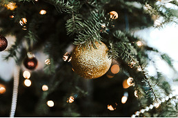 Real versus fake Christmas tree. Which one is better for the environment?