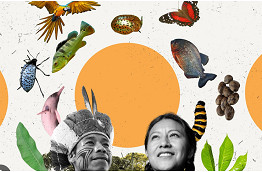 Are Indigenous decision-making processes required for new technological advances?