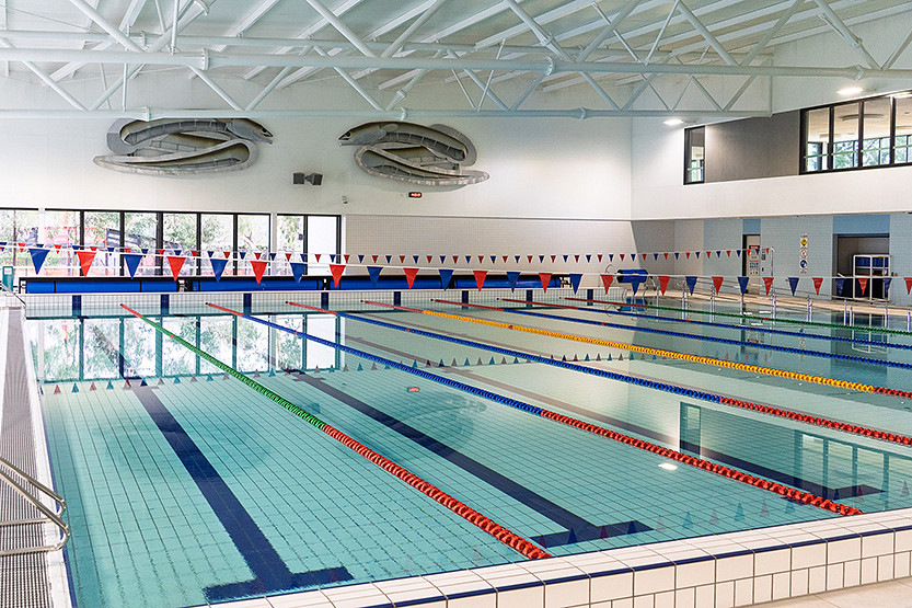 59-2-Dollar-swims.jpg