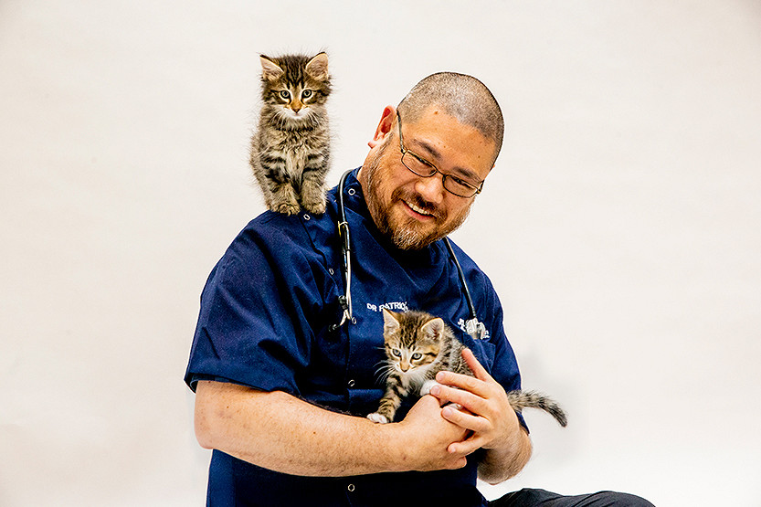 Ninetieth anniversary of the Lort Smith Animal Hospital