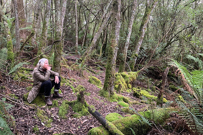 All the medicine we need is in nature