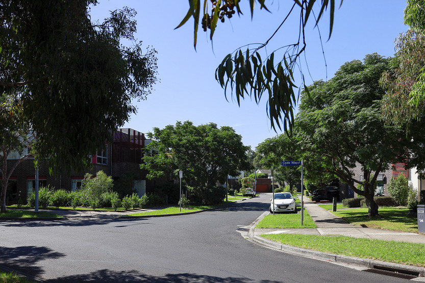 A tale of two consultations